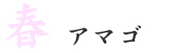 春はアマゴ料理