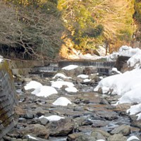 福井県南川の釣り日記