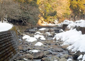 福井県南川の釣り日記