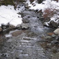 遠敷川の渓流