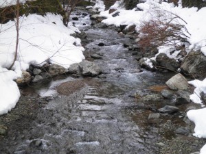 遠敷川の渓流