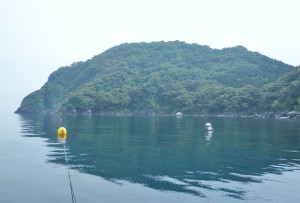 海釣り