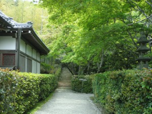 新緑の常寂光寺