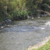 揖保川の鮎釣り