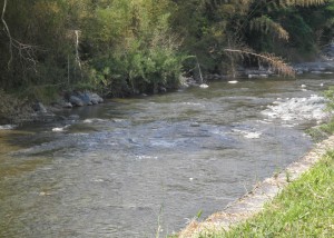 揖保川の鮎釣り