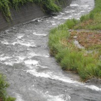 南川の支流の久田川