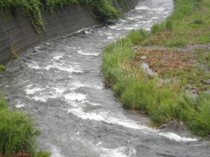 南川の支流の久田川