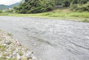 増水の南川