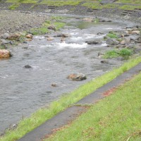 南川上流