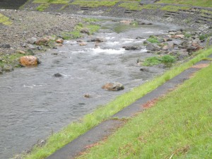 南川上流