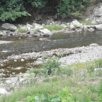 南川の鮎釣り