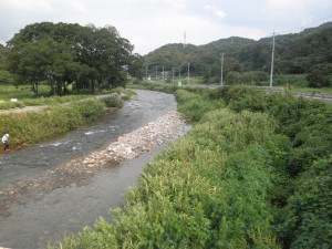 笙の川鮎釣り