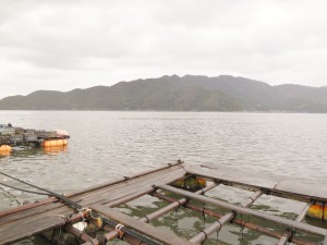 舞鶴湾の海釣り