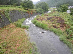 南川の鮎釣り