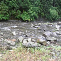 南川の鮎釣り