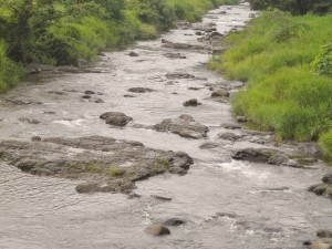 矢田川