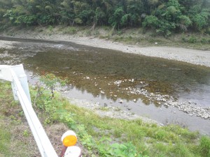 南川の鮎釣り