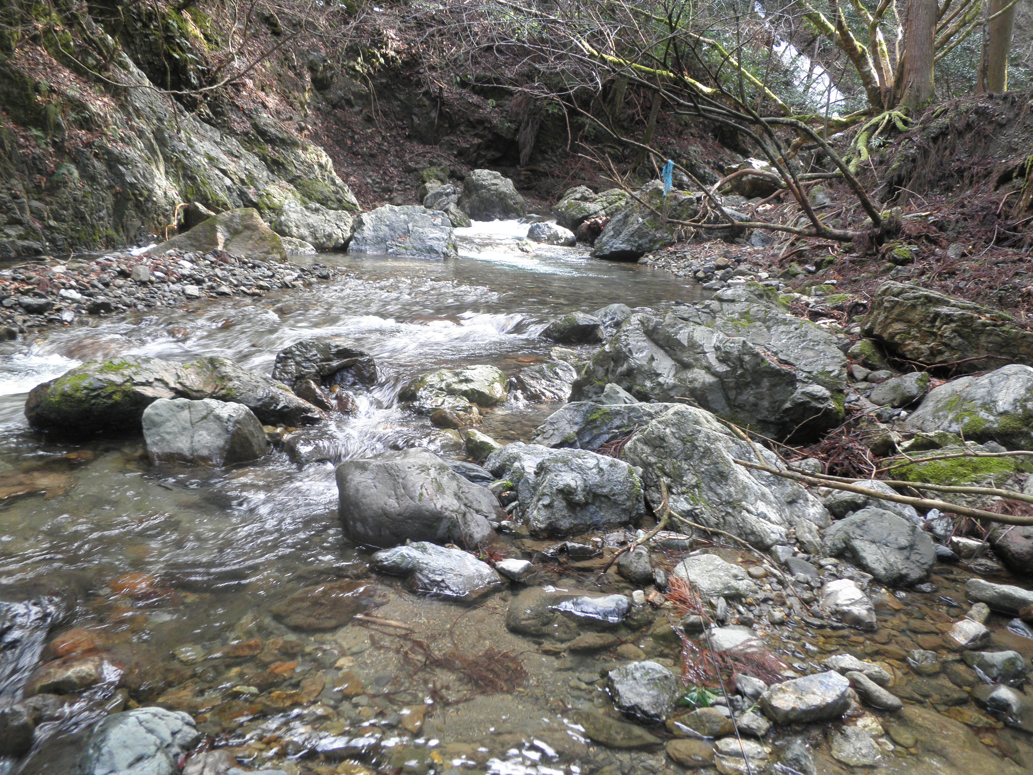 京都 渓流 釣り