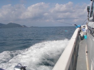 海釣り