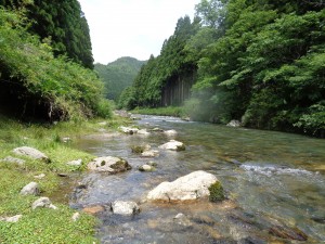 美山川